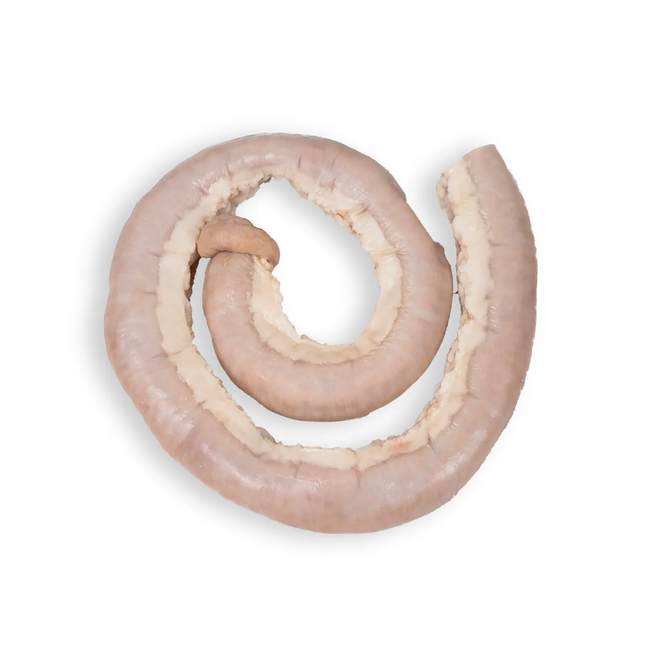 Buy Beef thin bowels