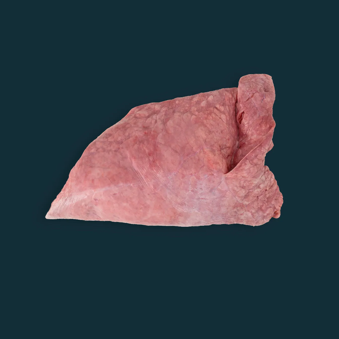 Beef Lung Grade B