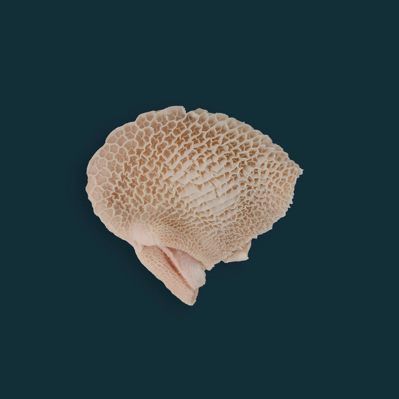 Natural beef honeycomb