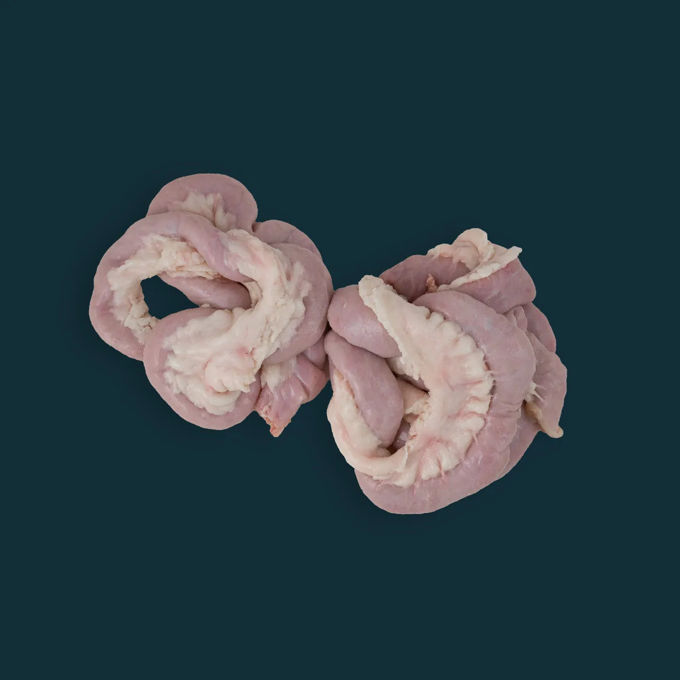 Buy Beef Small intestine