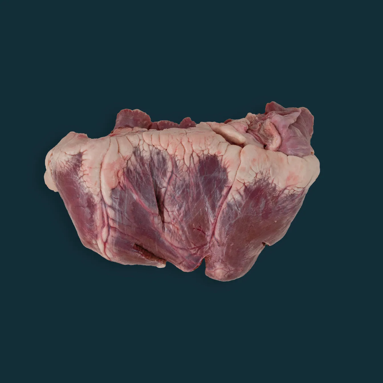 Beef Heart 70VL