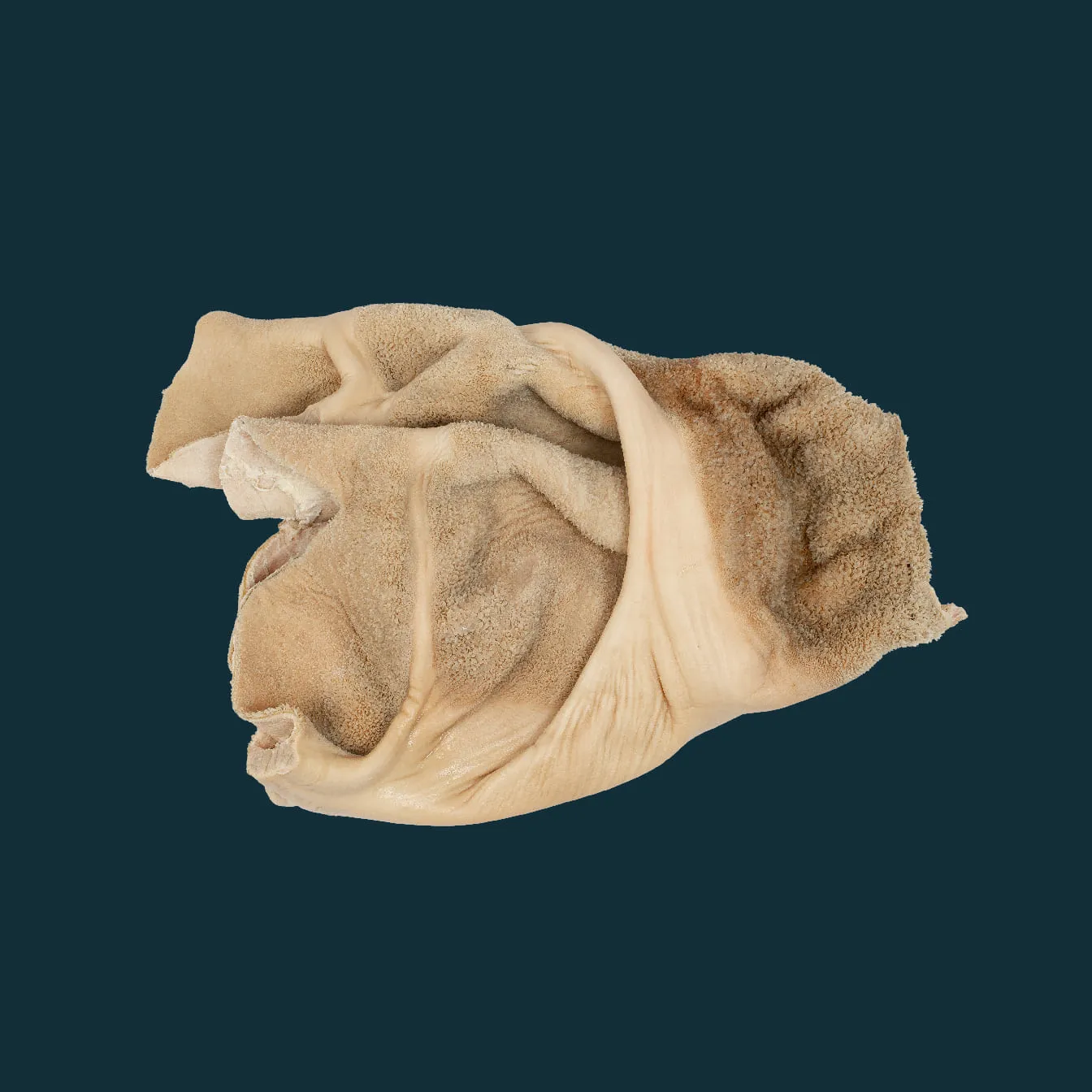 Beef Semicooked tripe