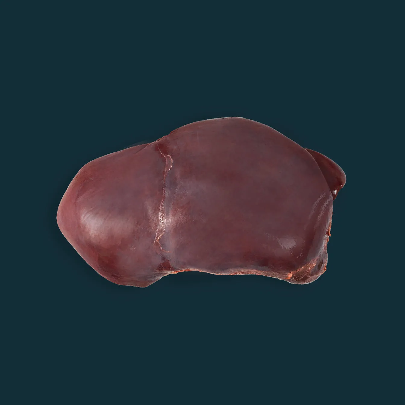 Beef Liver