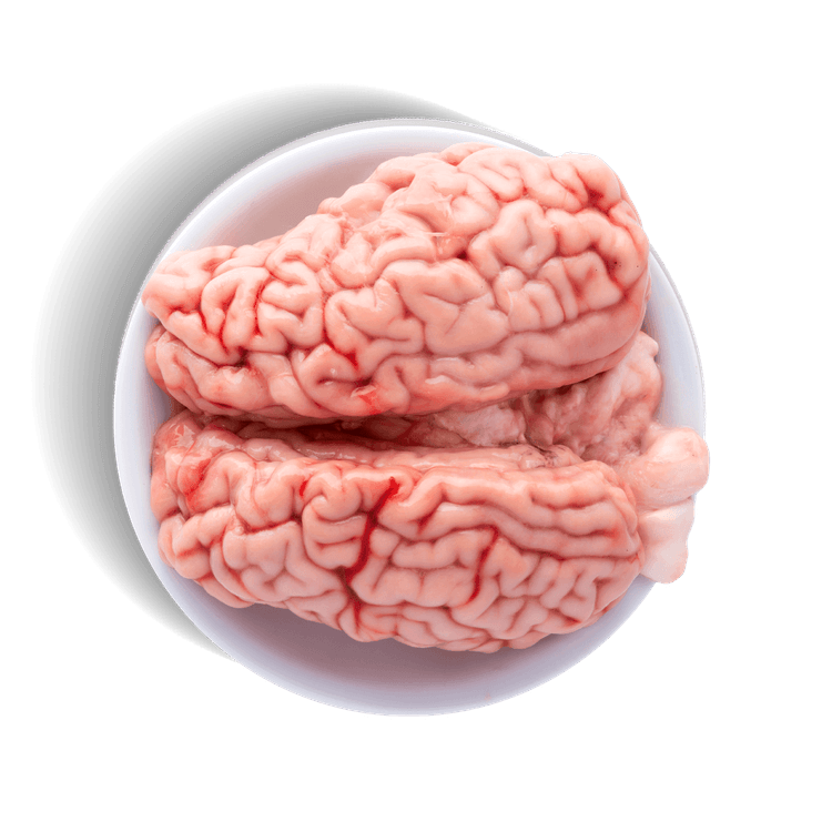 Buy Beef Brain